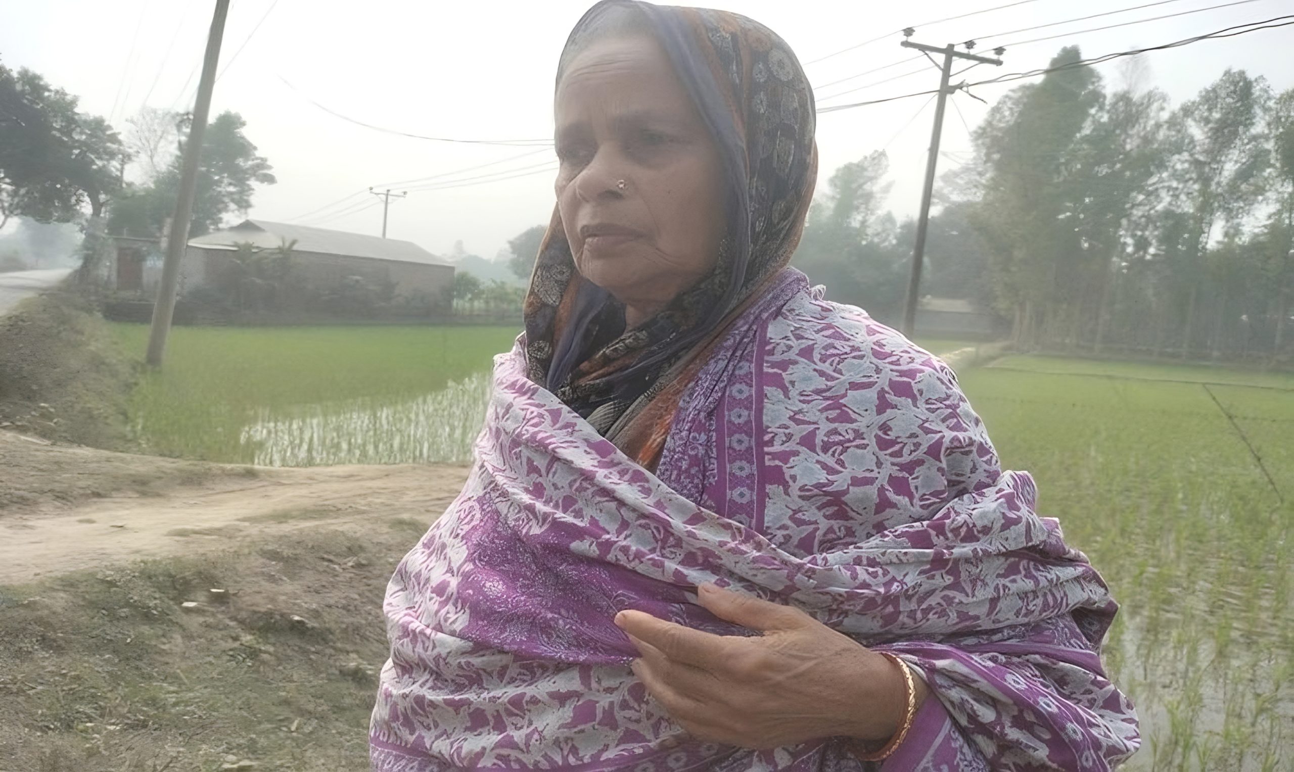 বিধবা মা