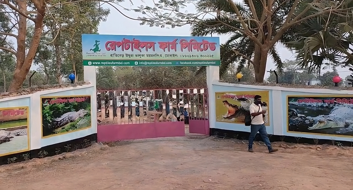 ভালুকার কুমির খামার