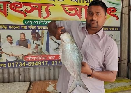 এক ইলিশের দাম ৬ হাজার টাকা এক ইলিশের দাম ৬ হাজার টাকা