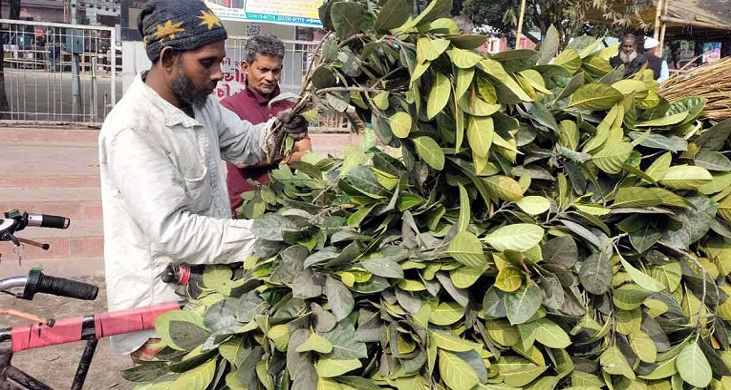 কাঁঠালপাতা বিক্রি