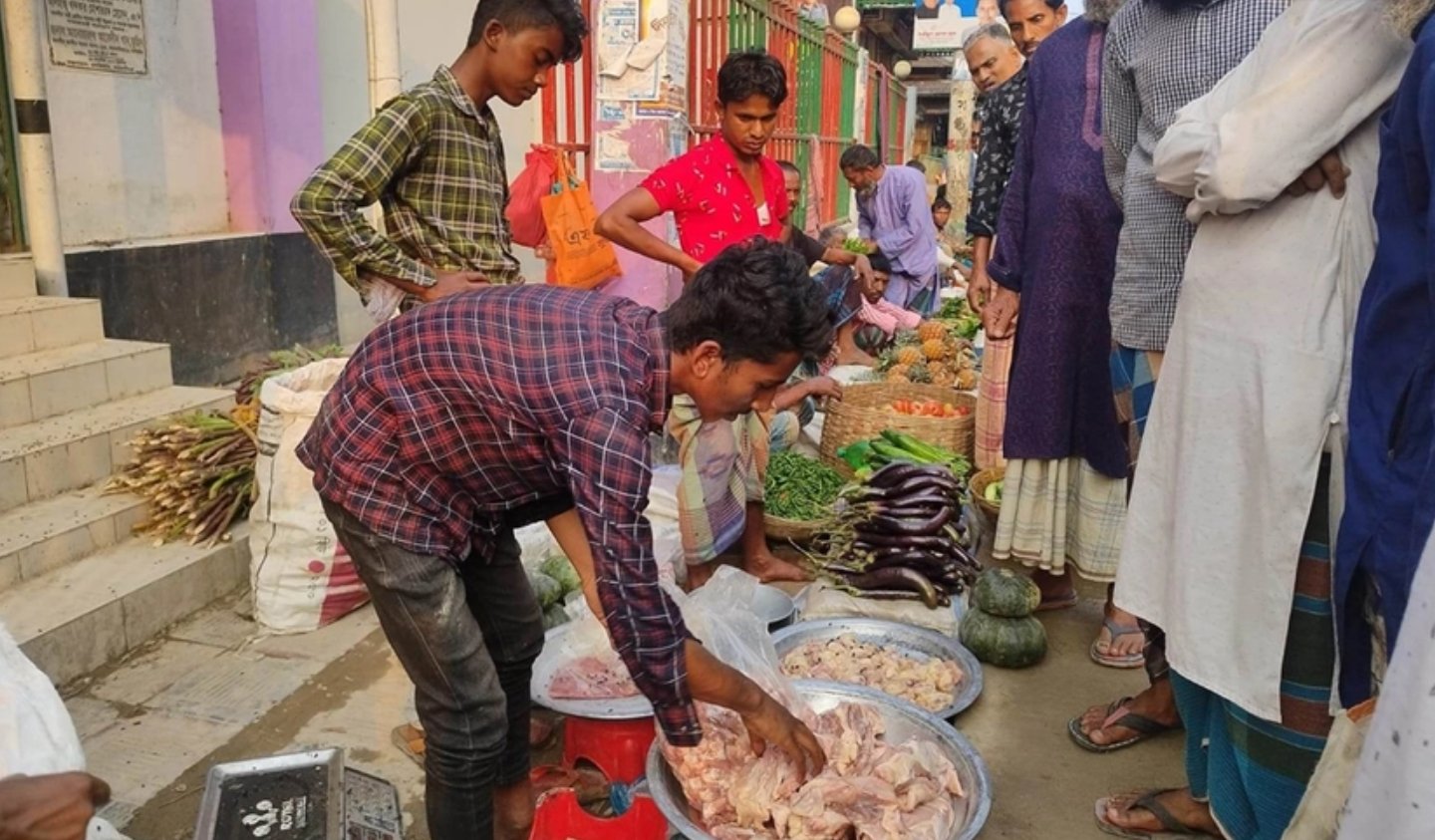 ব্রয়লার মুরগি