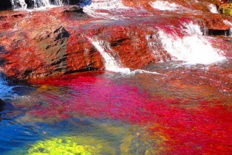 River of Colors