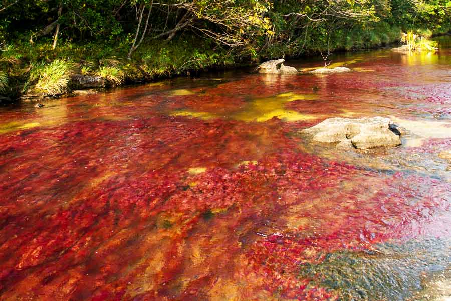 River of Colors