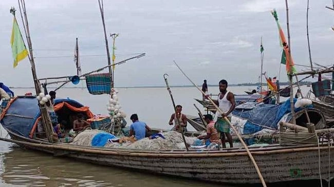 কাল থেকে চাঁদপুরের পদ্মা-মেঘনায় ইলিশ ধরার প্রস্তুতি জেলেদের