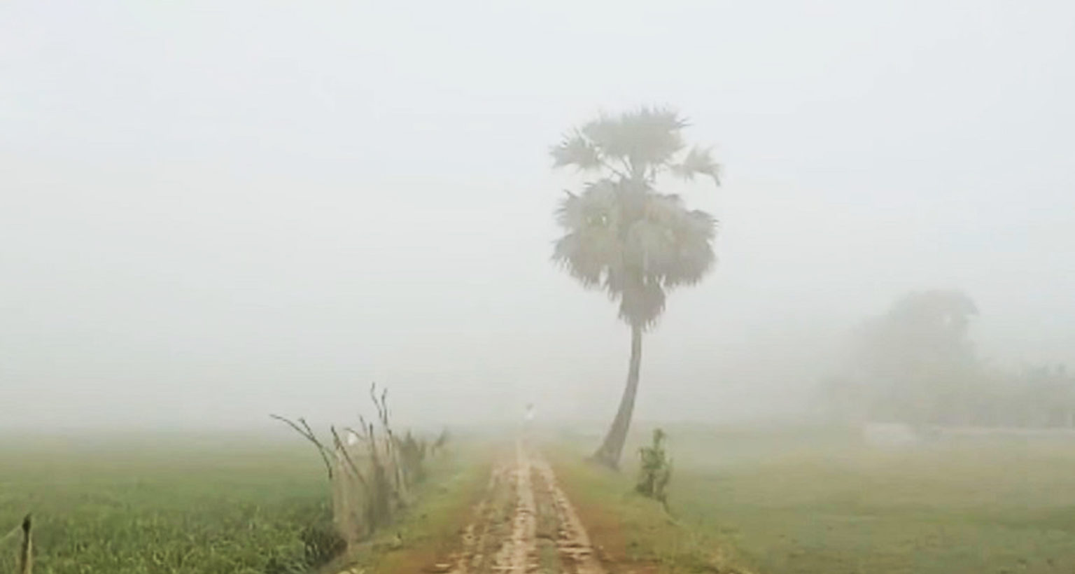 কুয়াশা