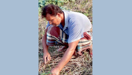 সভাপতির রোষানলে পড়ে প্রধান শিক্ষক এখন দিনমজুর