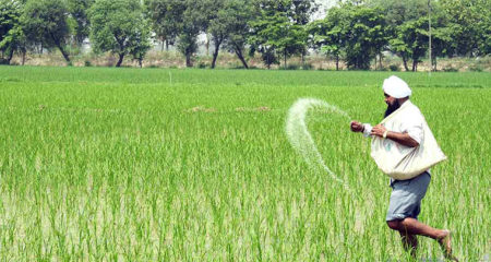 সারের দাম