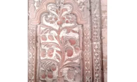 ৫০০ বছরের পুরোনো শাহী মসজিদের দেয়ালে শিলালিপিতে আম
