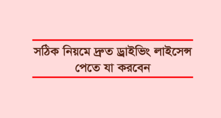 ড্রাইভিং লাইসেন্স