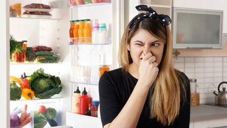 ফ্রিজের দুর্গন্ধ