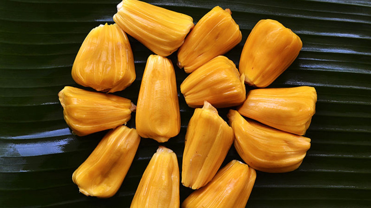 Jackfruit