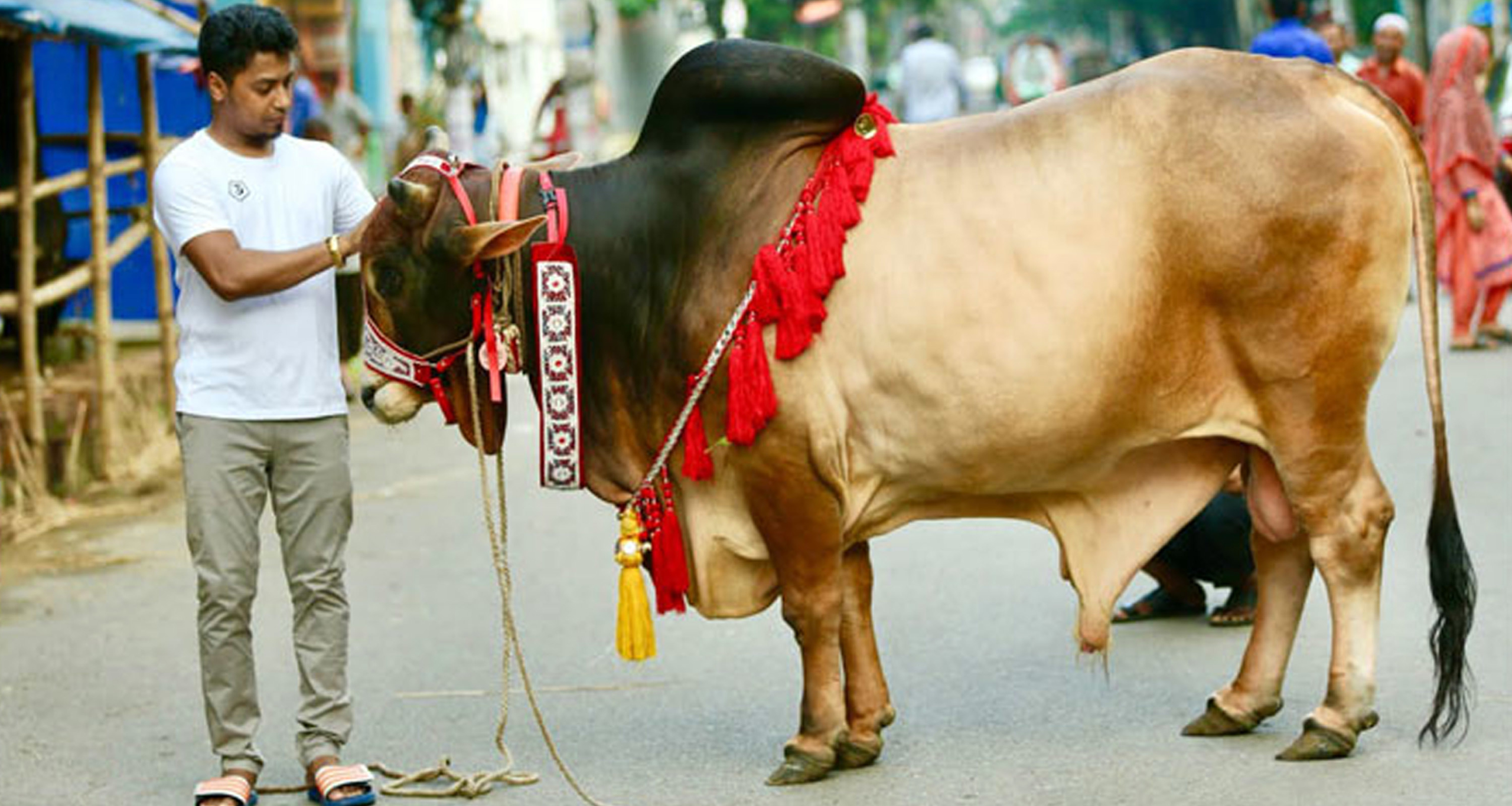 কোরবানি