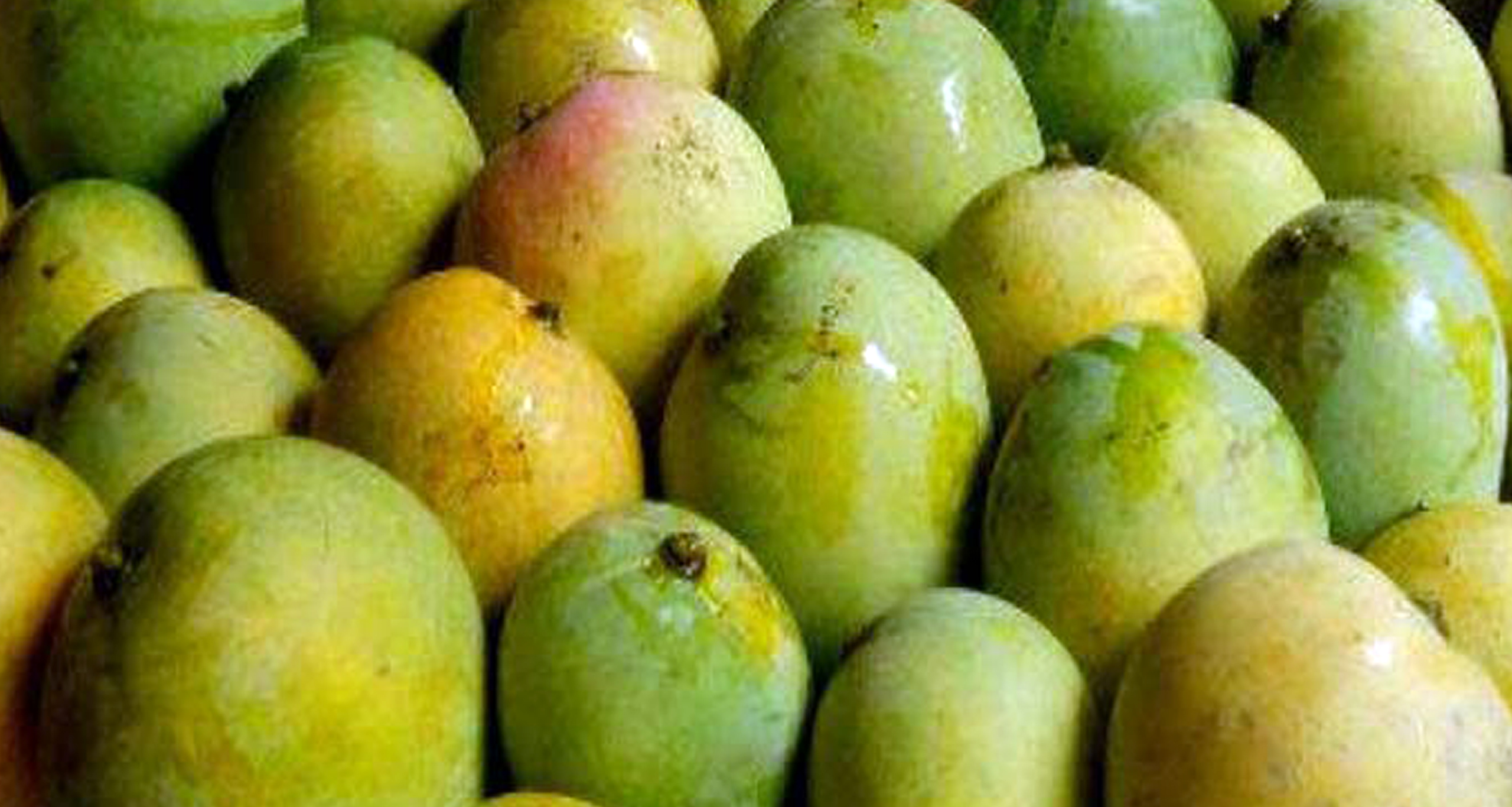 হাঁড়িভাঙা আম