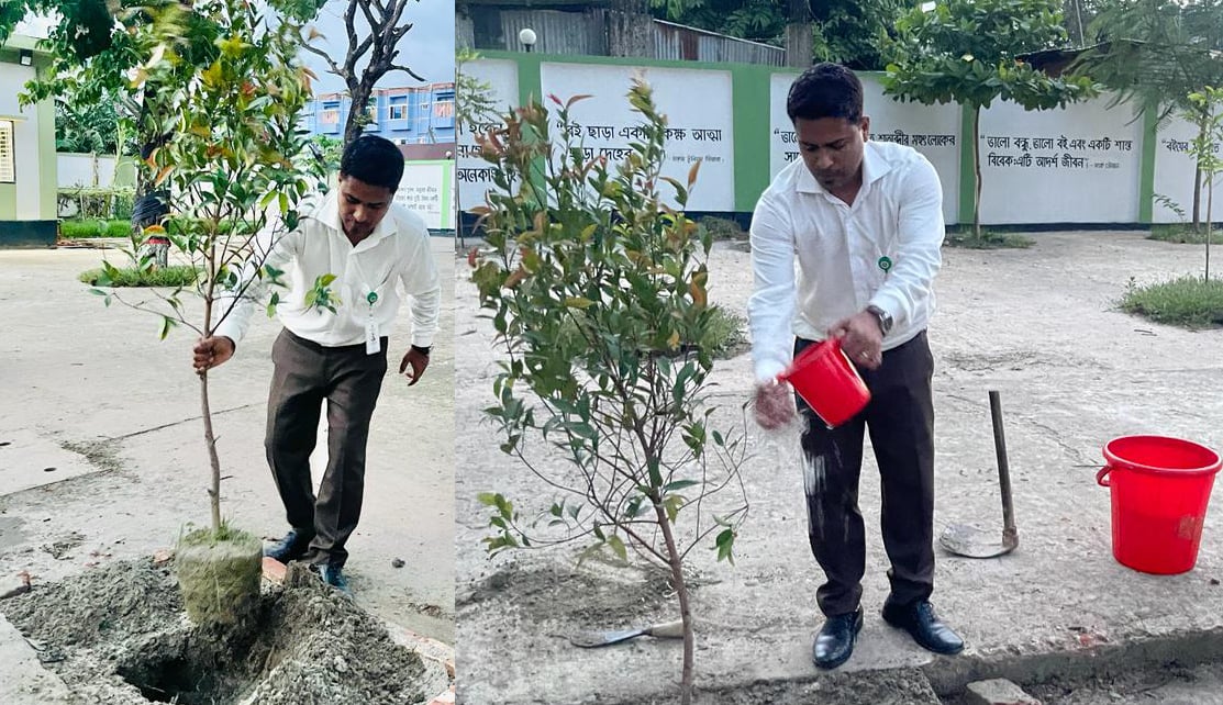 কোথায় কোন গাছ লাগাবেন