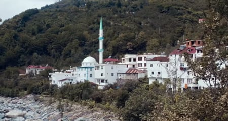 পাখির ভাষা