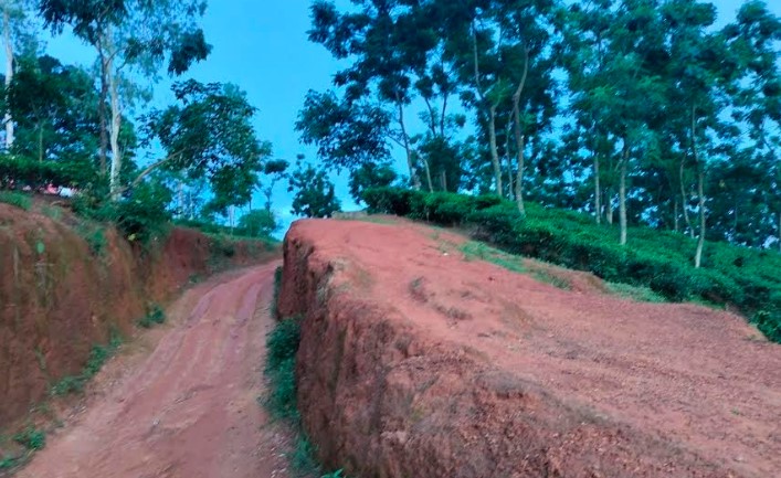 পর্যটকদের মন কাড়ছে শ্রীমঙ্গলে `লাল টিলা‍‍`