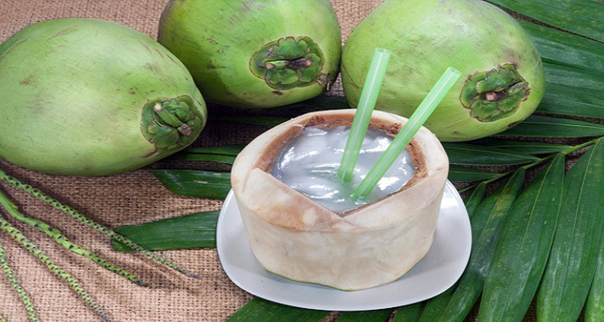 ডাবের পানির উপকারিতা ও অপকারিতা - Benefit of Coconut Water  