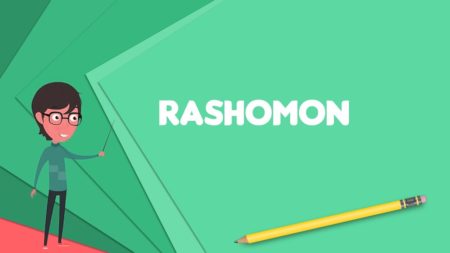 Rashomon Effect