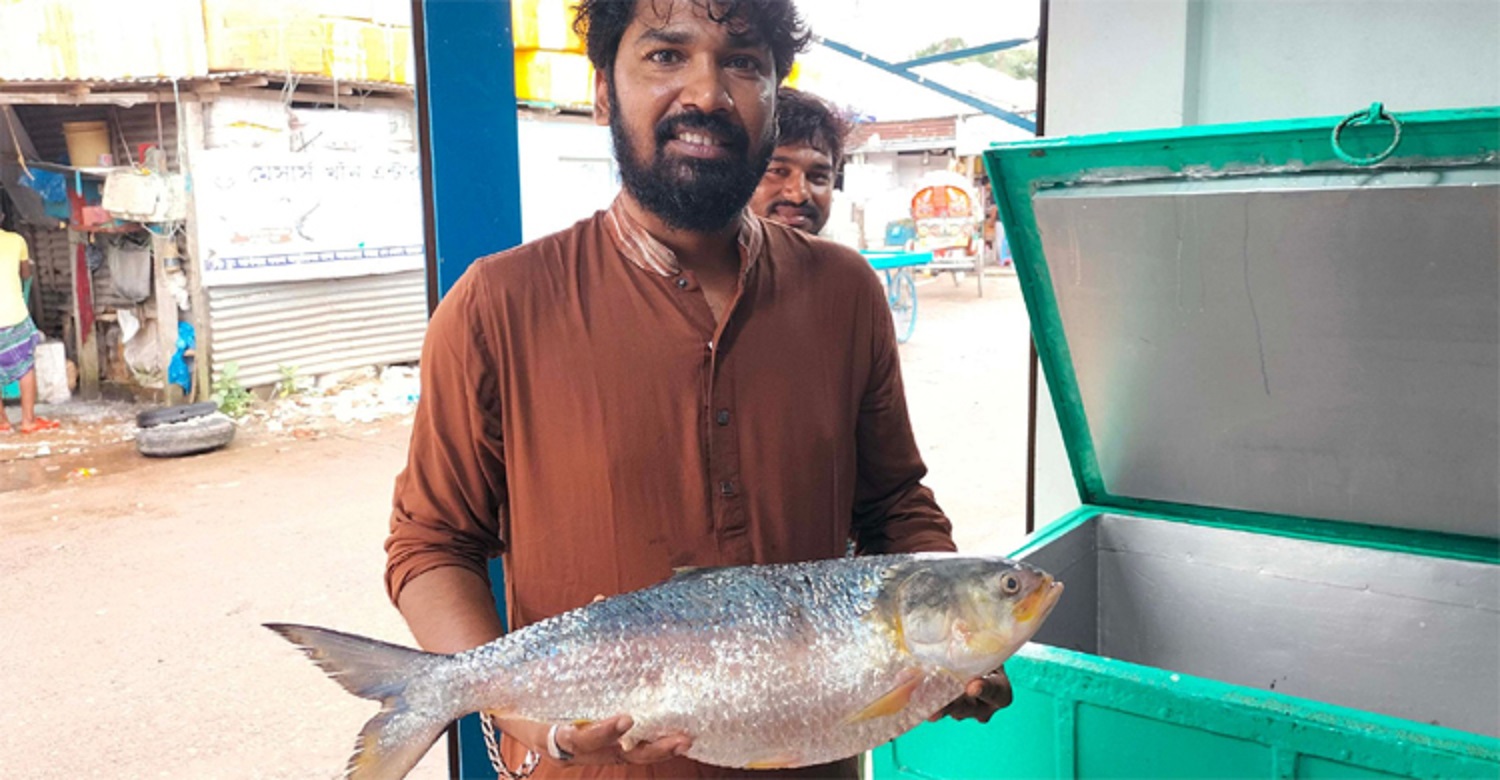 ইলিশ