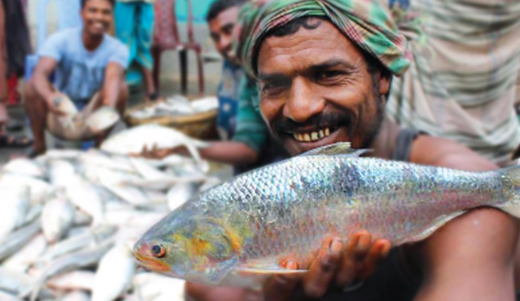 ইলিশের বাজার