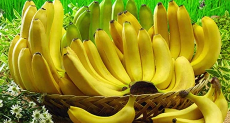 সব ধরণের কলা বাঁকা হয় কেন? অনেকেই জানেন না কলা