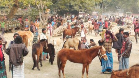 ঘোড়ার হাট