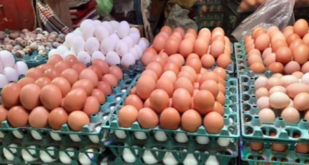 ডিমের দাম