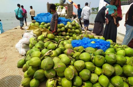 বাগানে ৪০ টাকার ডাব রাজধানীতে ১৮০