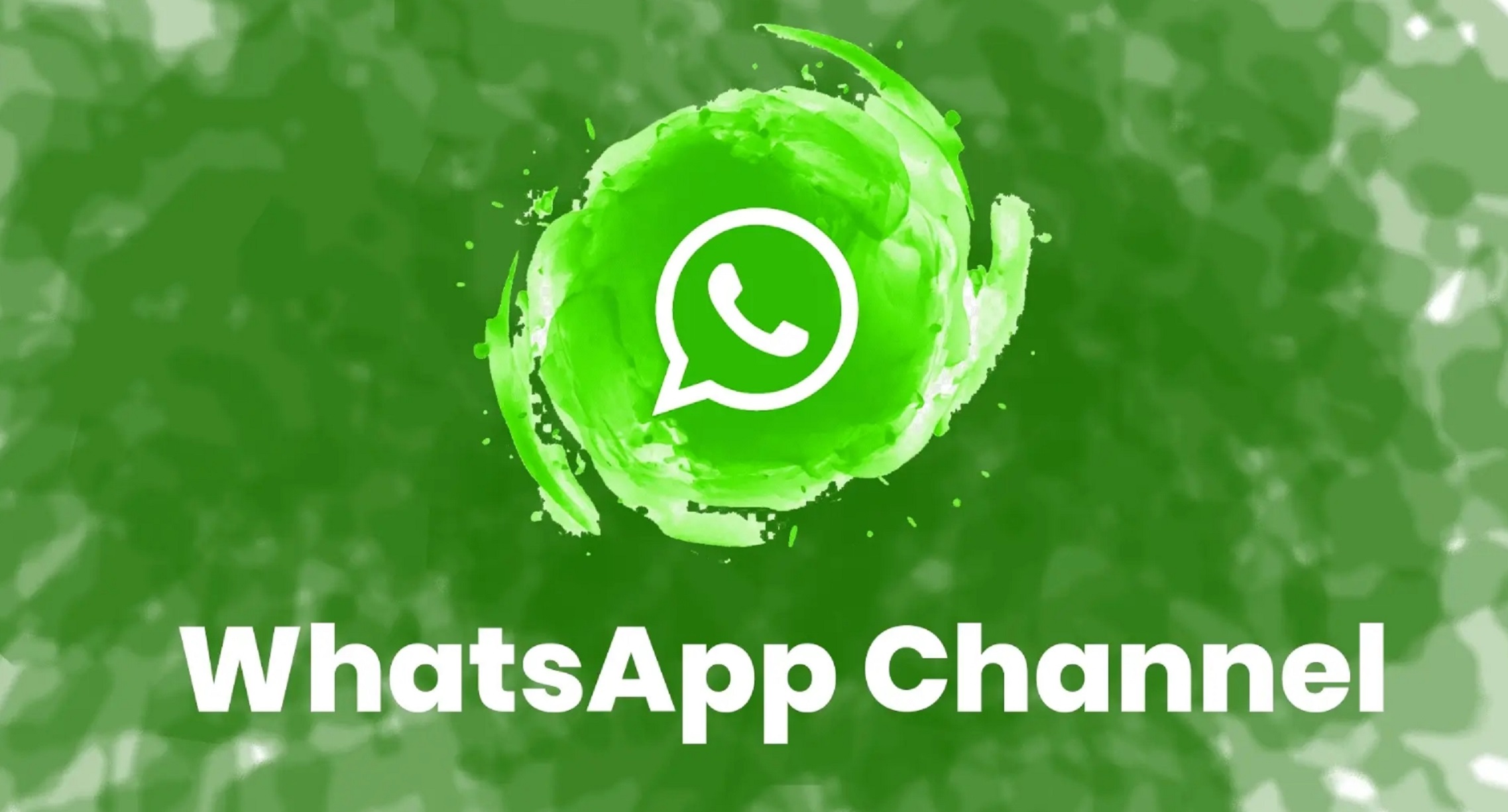 whatsapp channel