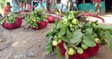 চন্দনাইশের পেয়ারা