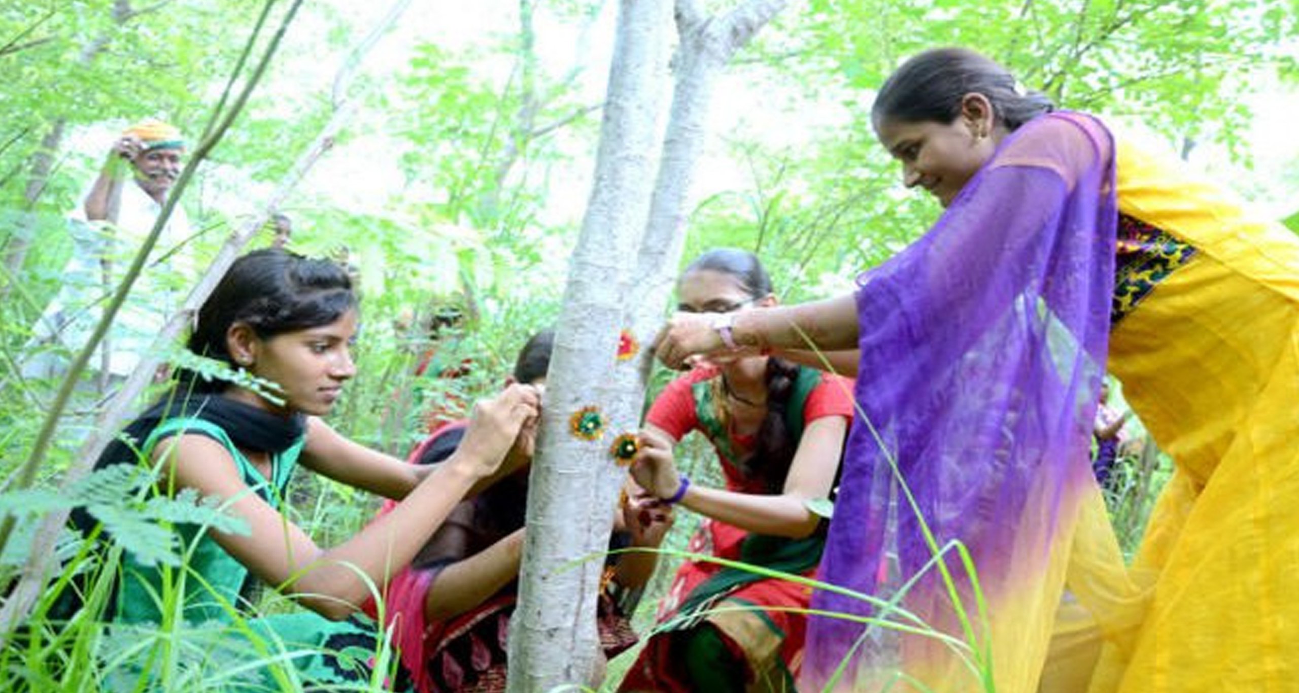 মেয়েদের গাছ