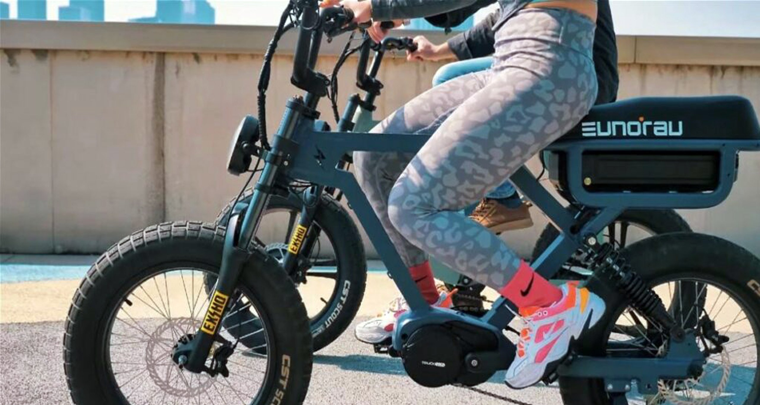 eunorau flash e-bike