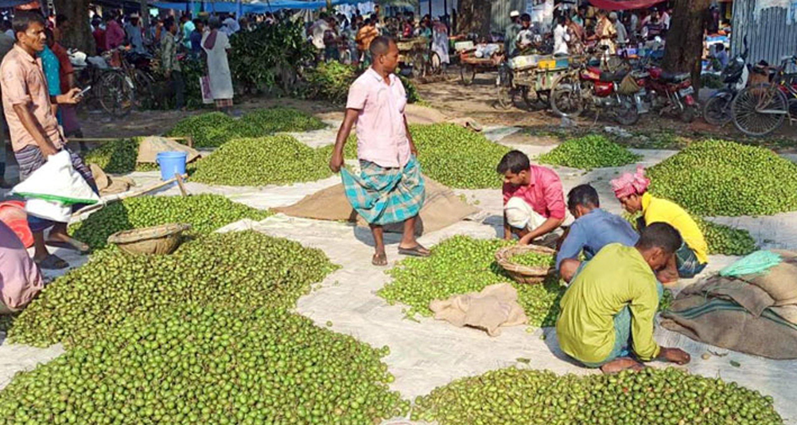 জলপাইয়ের হাট