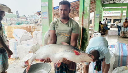 পটুয়াখালী