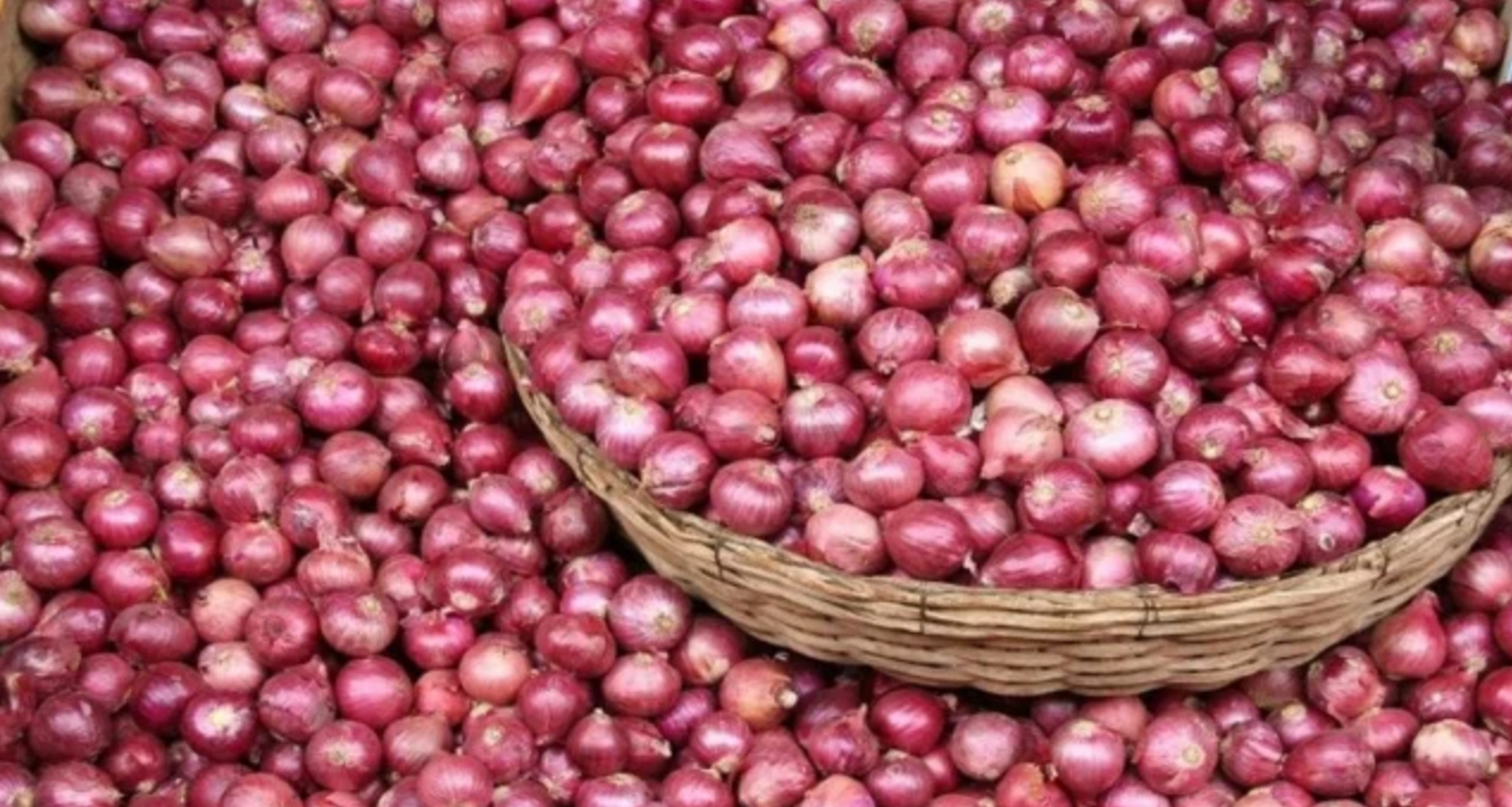 পেঁয়াজ
