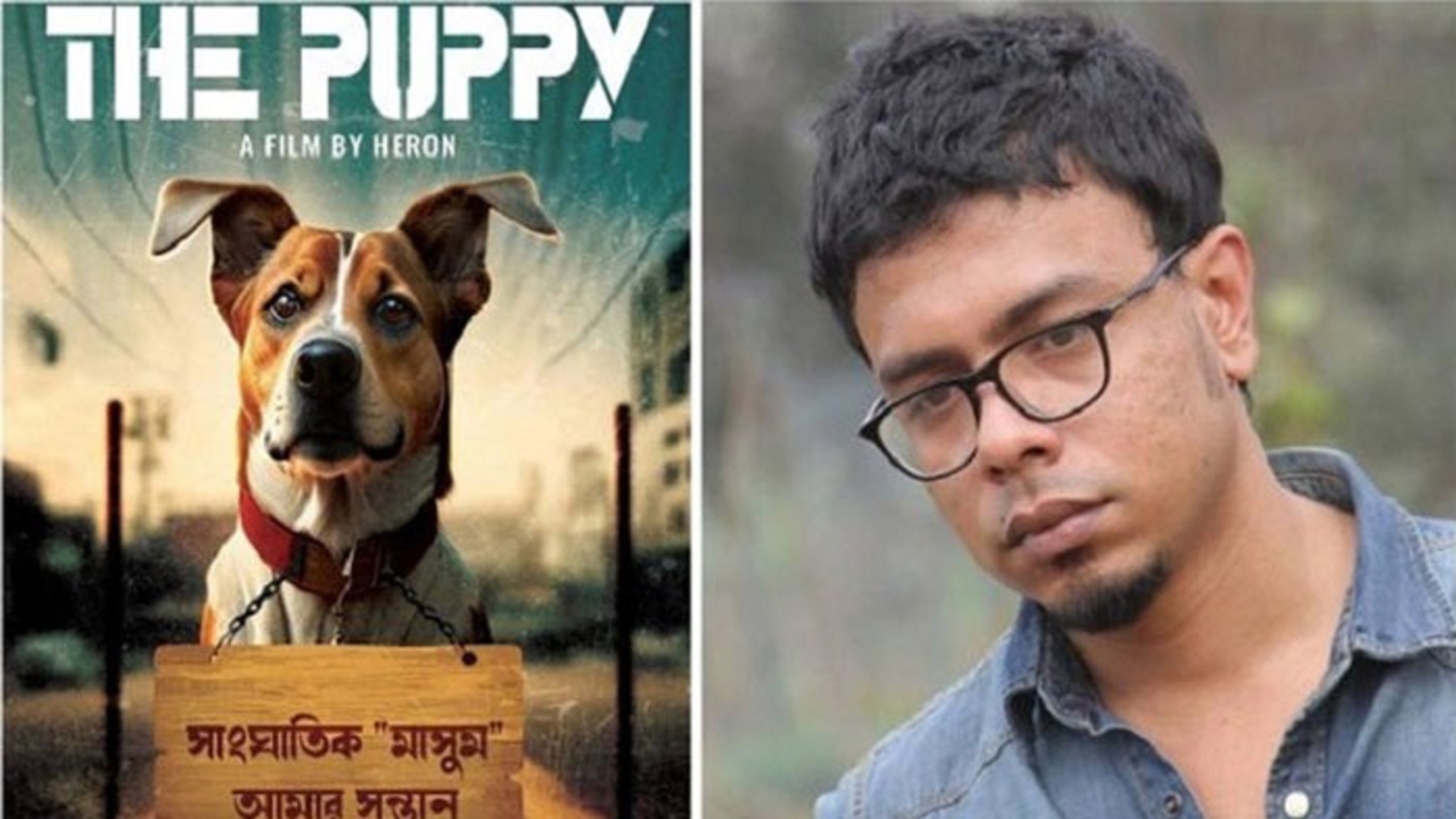 দ্য পাপ্পি