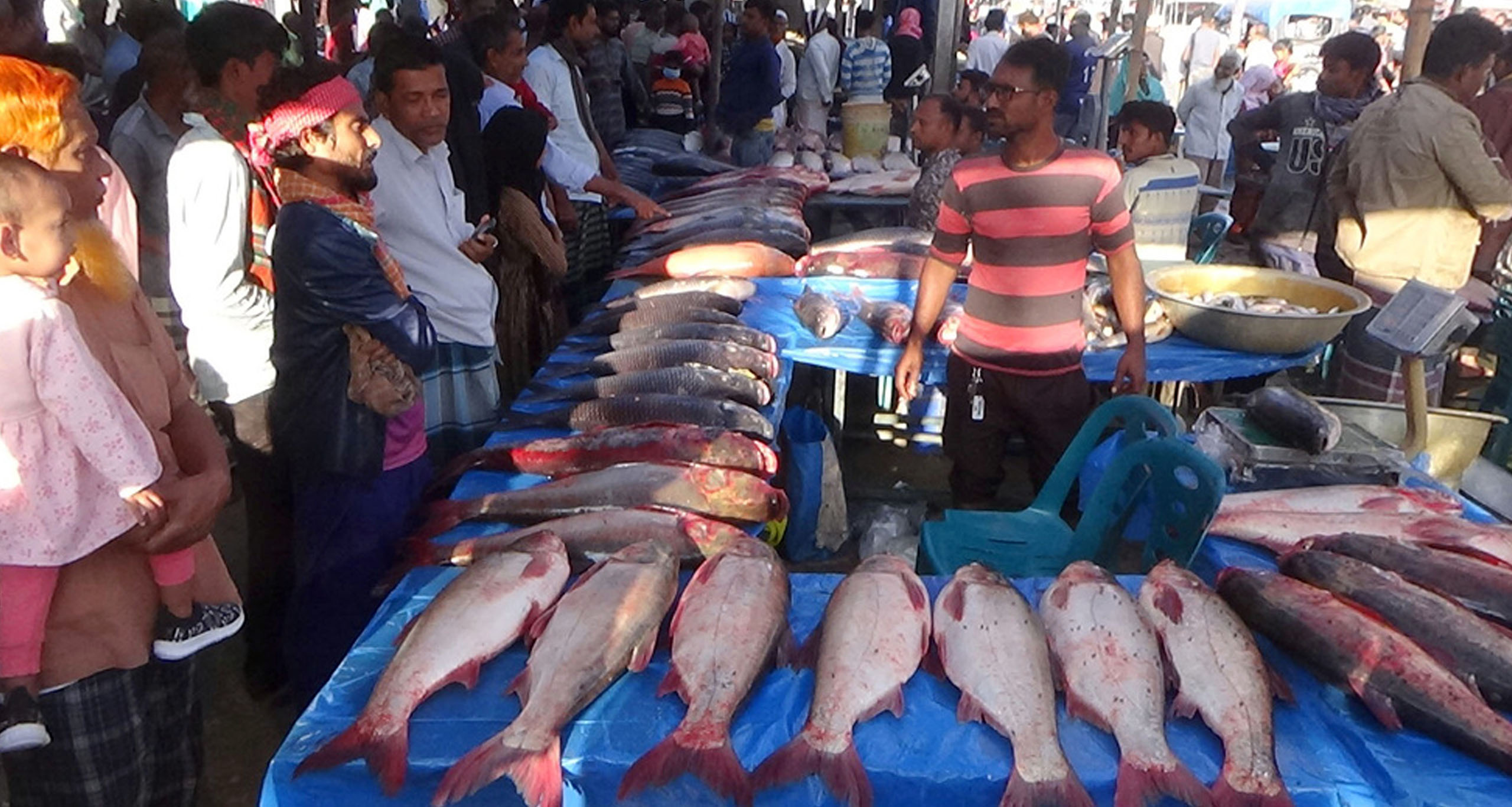 মাছের মেলা