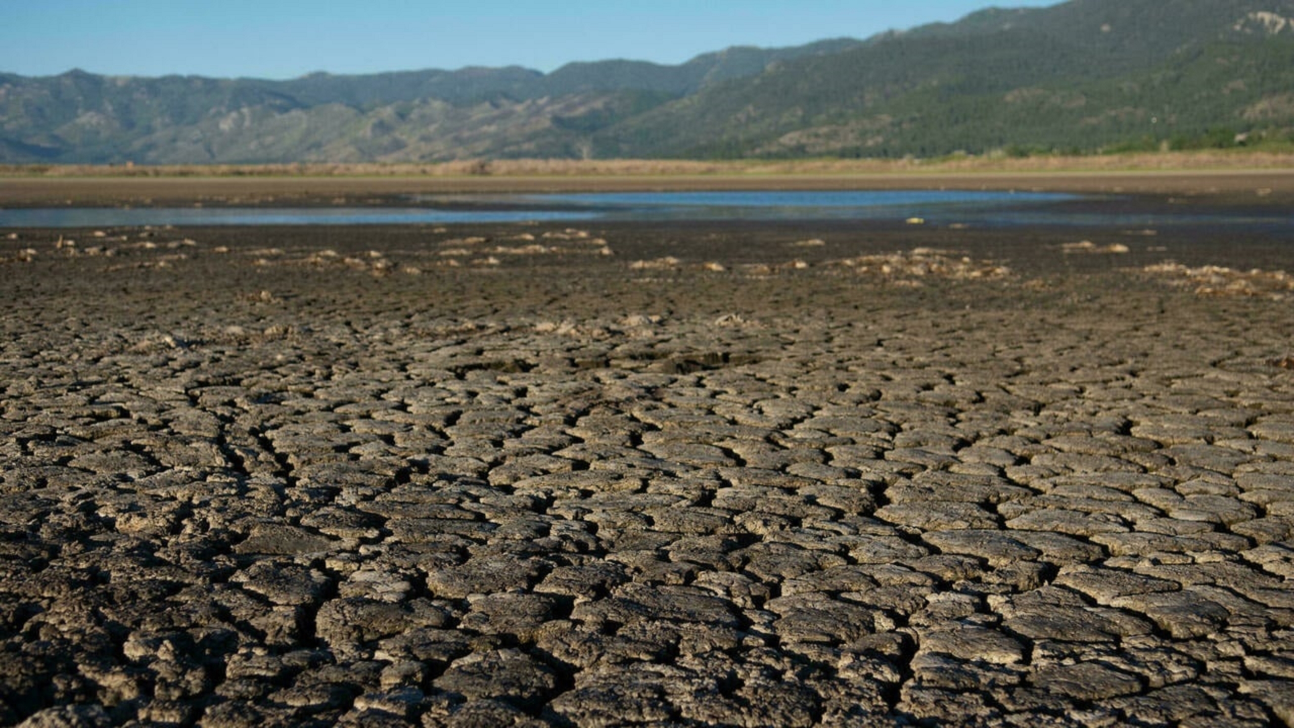 সবচেয়ে উষ্ণতার রেকর্ড