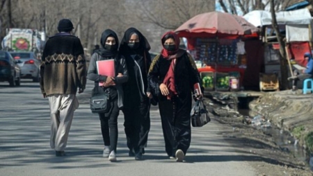 আফগানিস্তানে নারীদের বিশ্ববিদ্যালয়