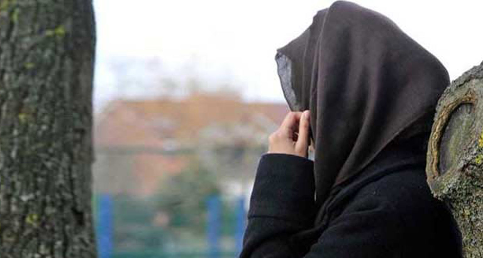 কিডনি দান