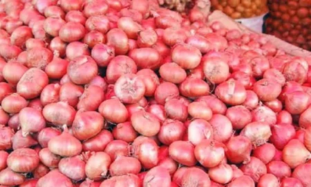 যেভাবে পেঁয়াজের দাম কমিয়ে আনছে ভারত পেঁয়াজ