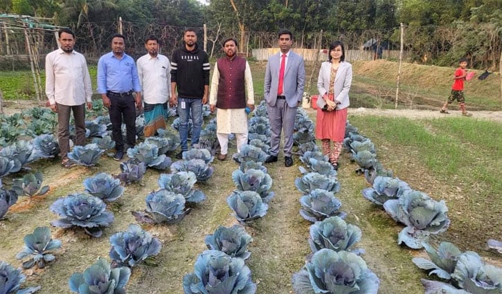 রঙিন বাঁধাকপিতে আব্দুর রহমানের রঙনি স্বপ্ন