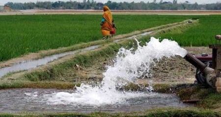 সেচ মৌসুমে