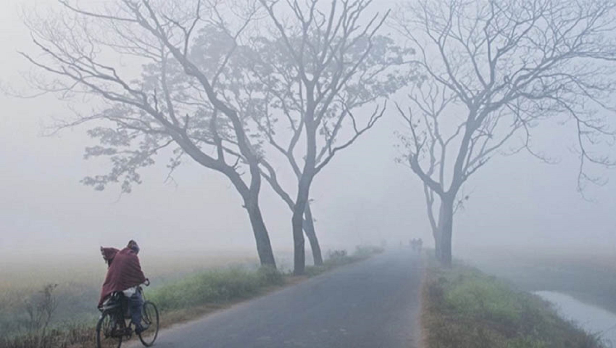 গুঁড়ি গুঁড়ি বৃষ্টি