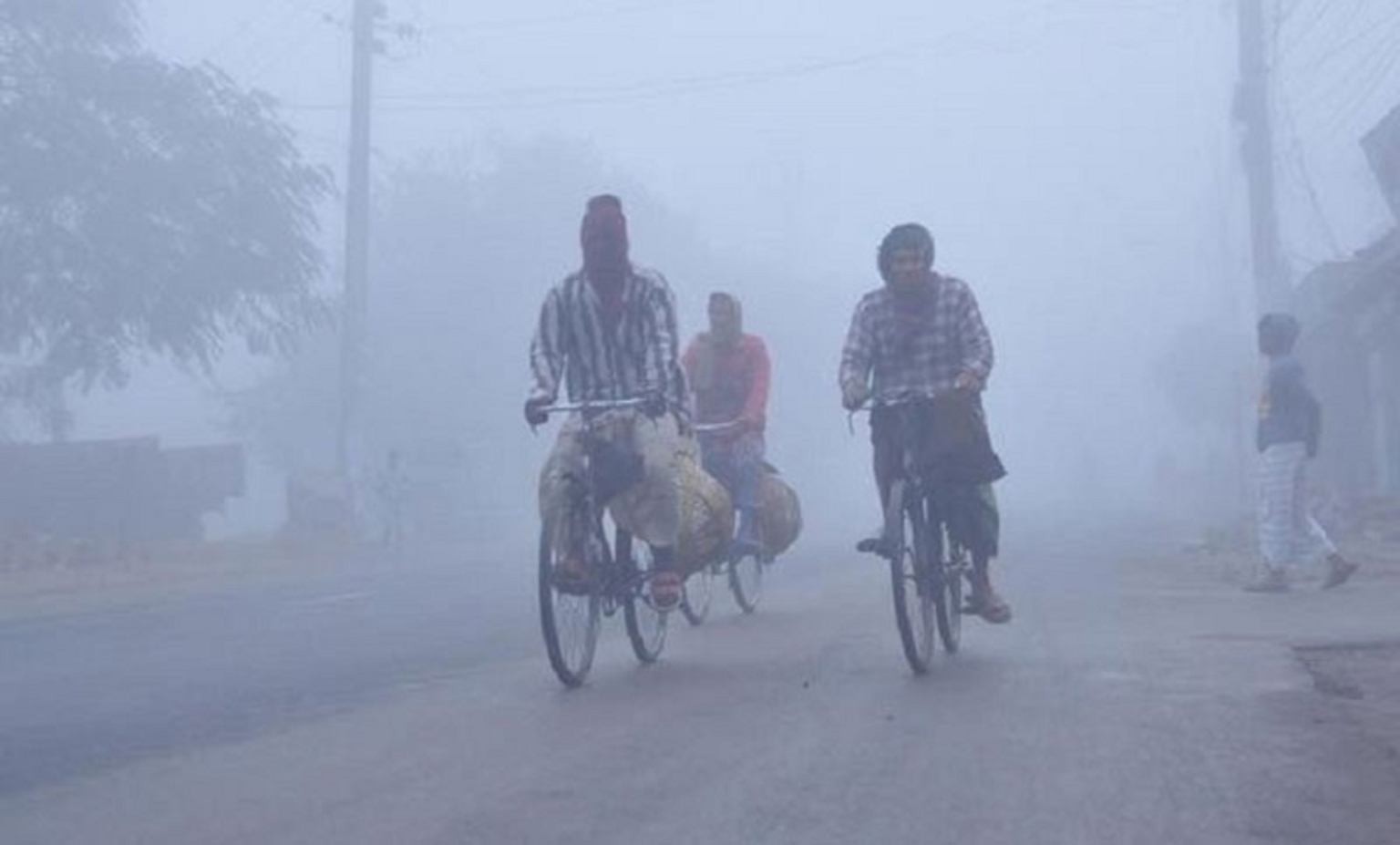 শীতে কাঁপছে
