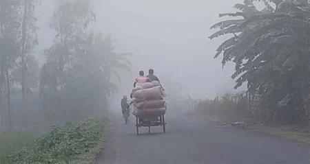 শীতের দাপট