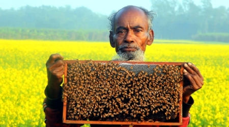 সরিষা ফুলের মধু