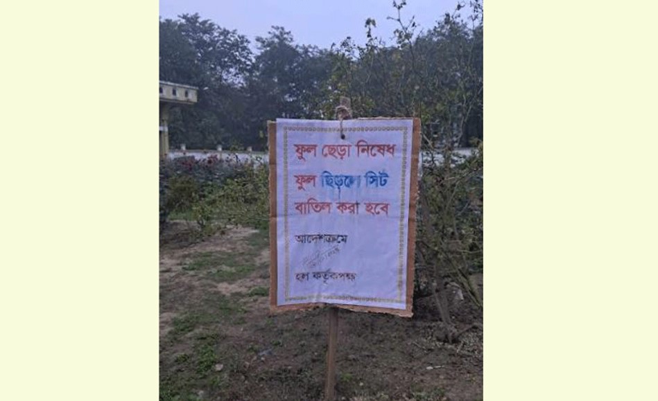 ফুল ছেড়া নিষেধ