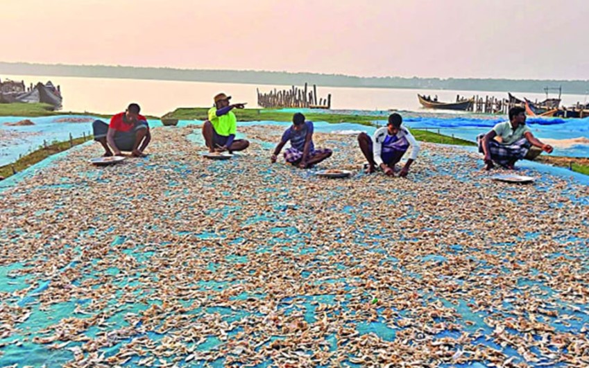 শুঁটকির বাজার