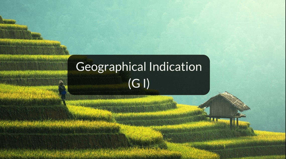 জিআই সনদ